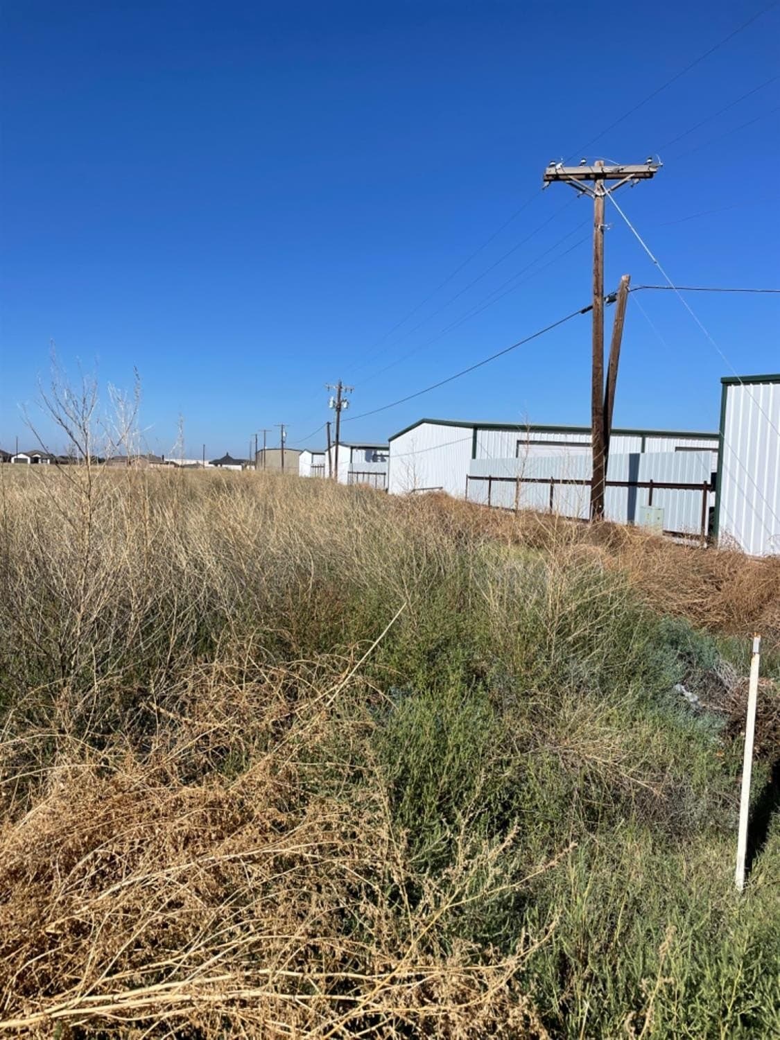 1.69 acres in Lubbock County gallery image 3