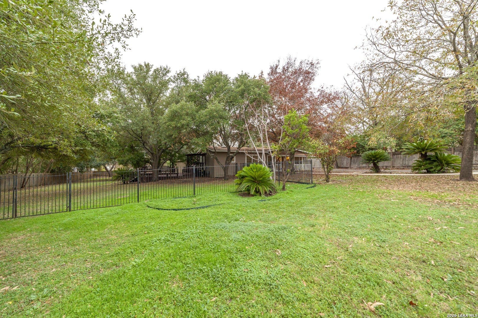 66 acres in Bexar County gallery image 2