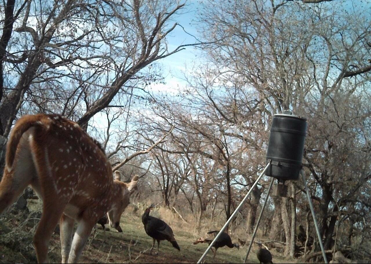 16.4 acres in Tom Green County - photo 60
