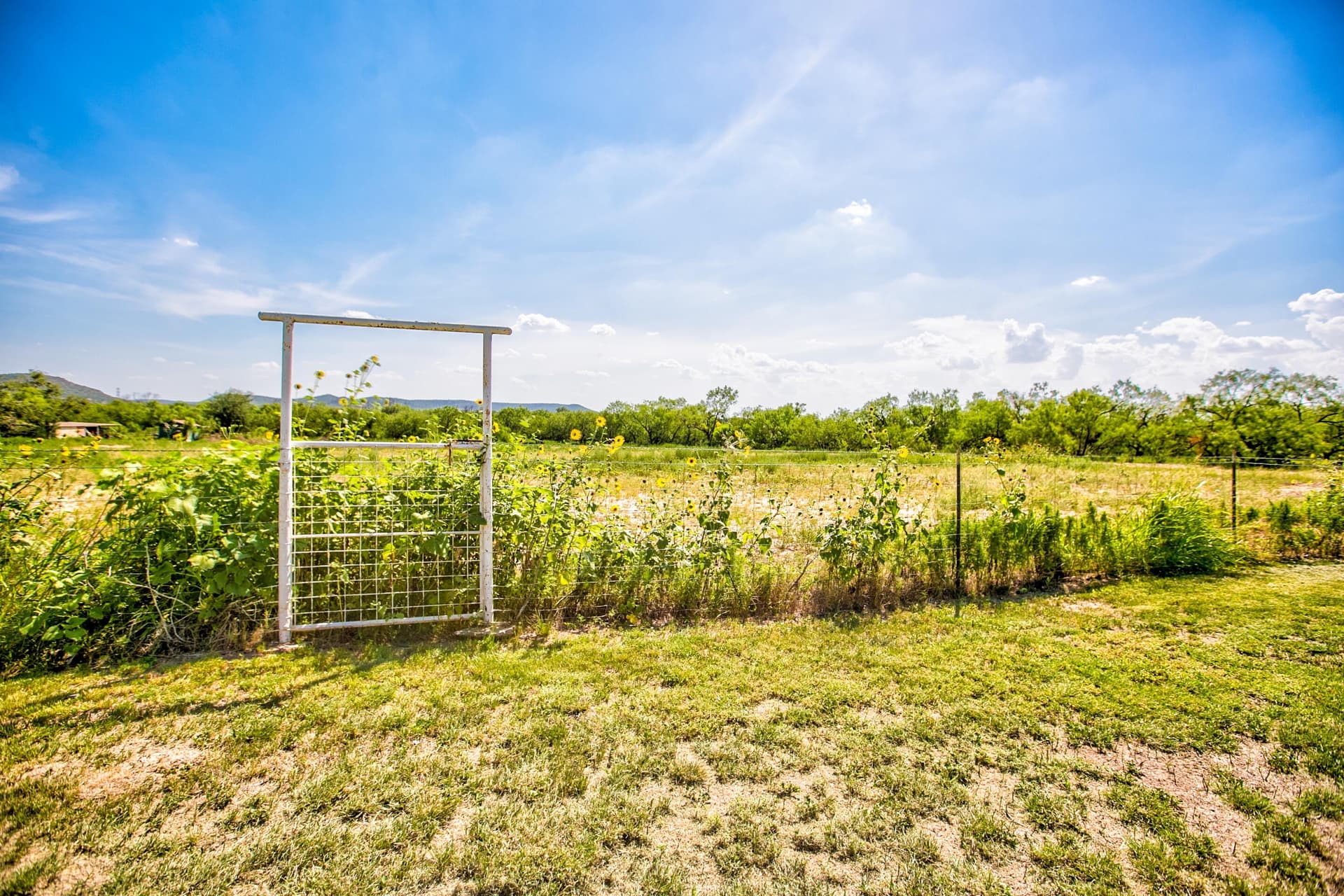 16.4 acres in Tom Green County - photo 38