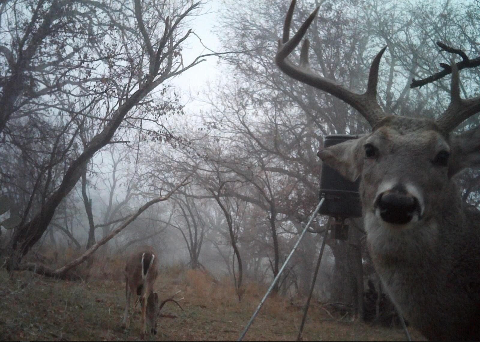 16.4 acres in Tom Green County - photo 62