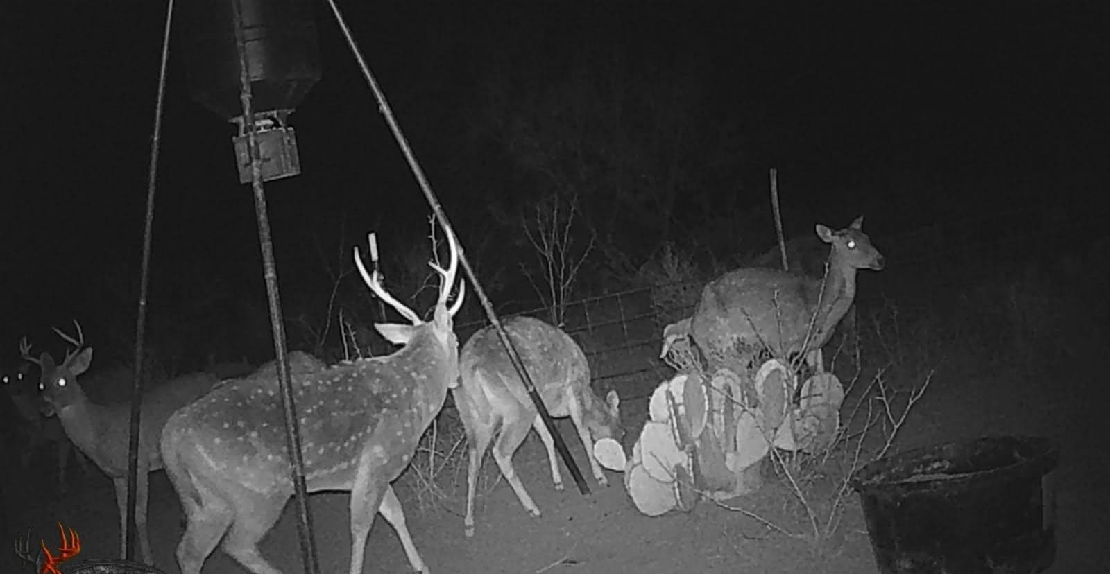 16.4 acres in Tom Green County - photo 52