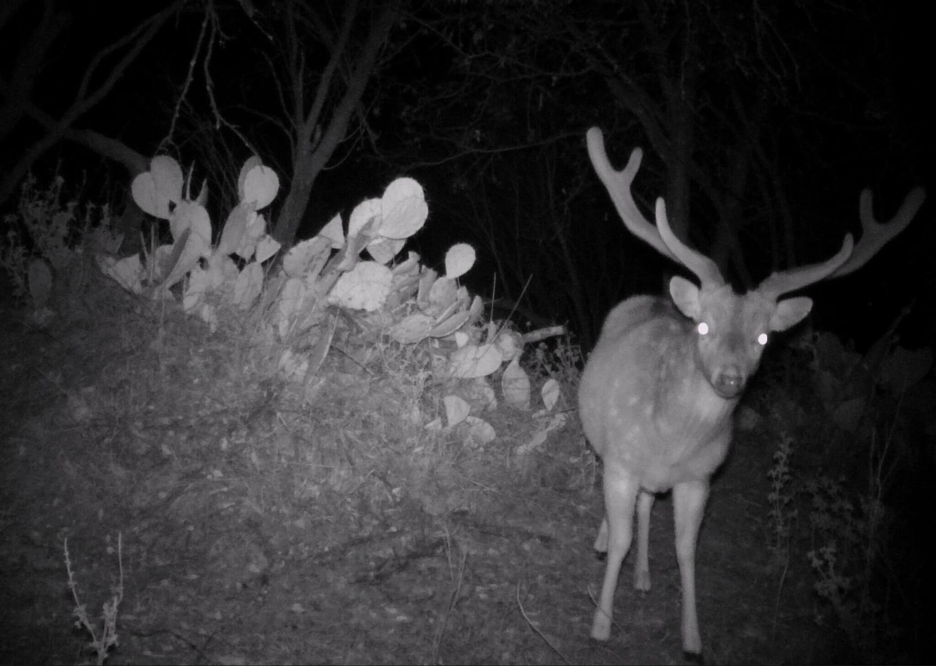 16.4 acres in Tom Green County - photo 63