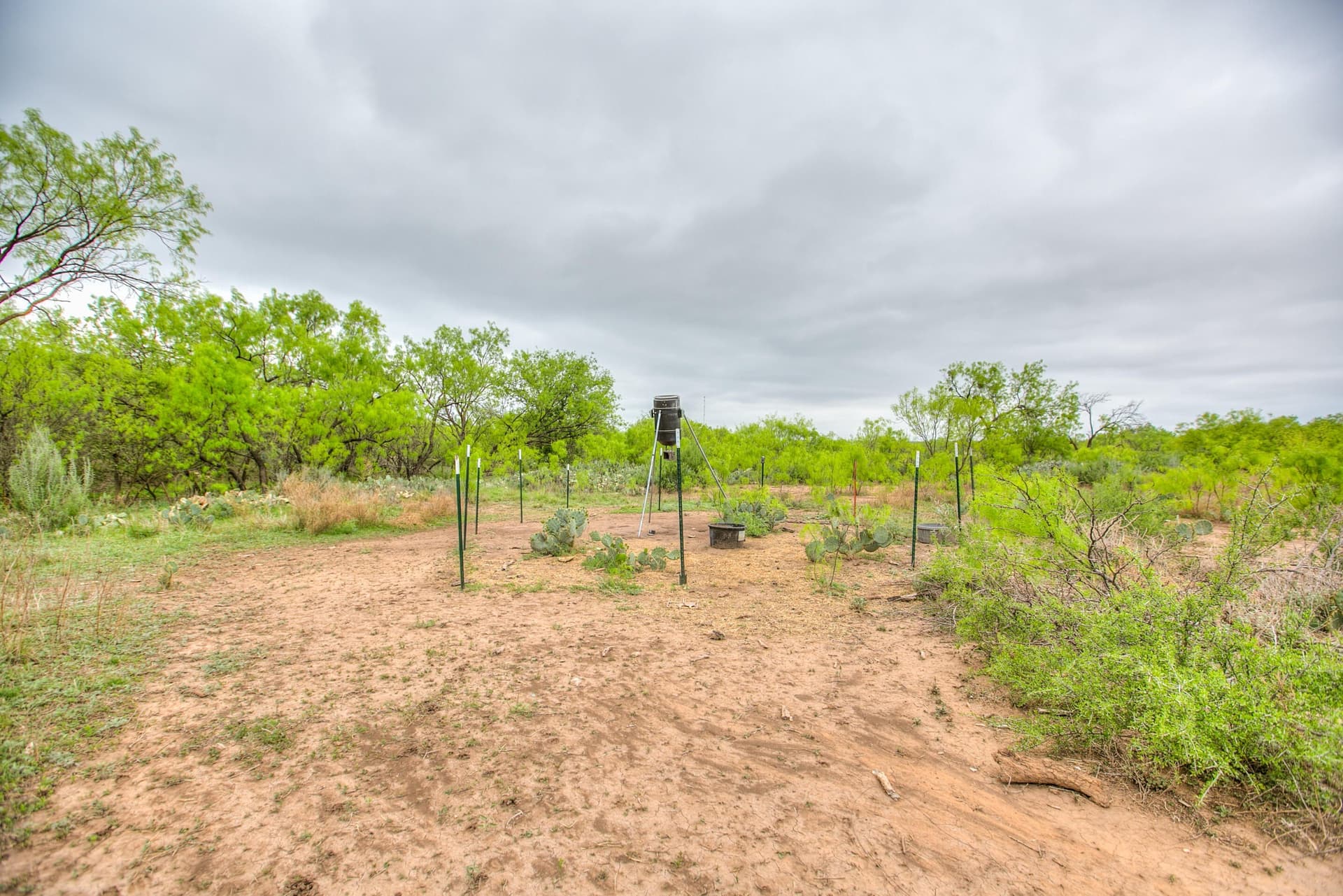 16.4 acres in Tom Green County - photo 44