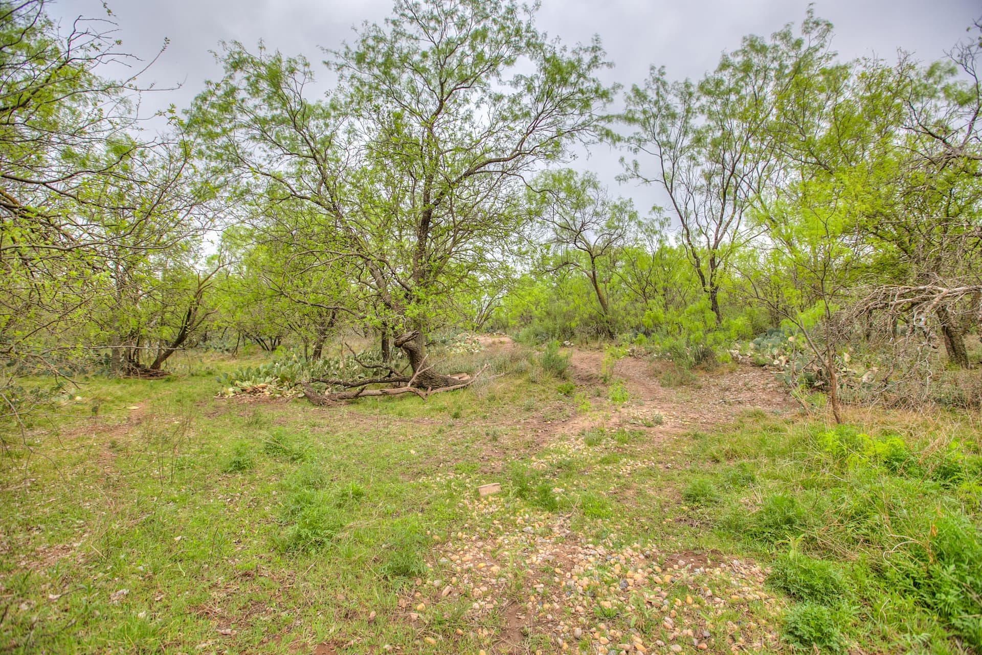 16.4 acres in Tom Green County - photo 45
