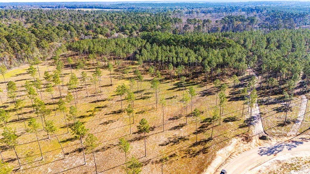 5.1 acres in Texas County gallery image 4