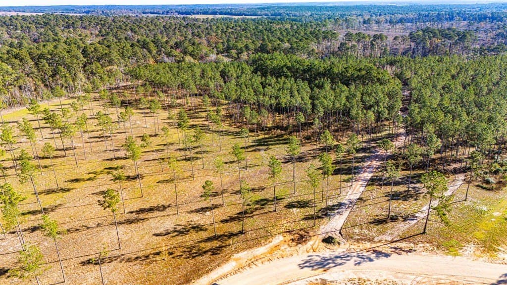 5.1 acres in Texas County gallery image 3