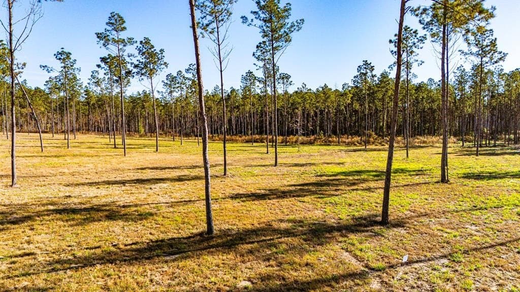 5.1 acres in Texas County