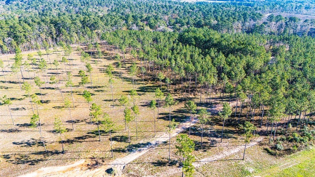 5.1 acres in Texas County featured view