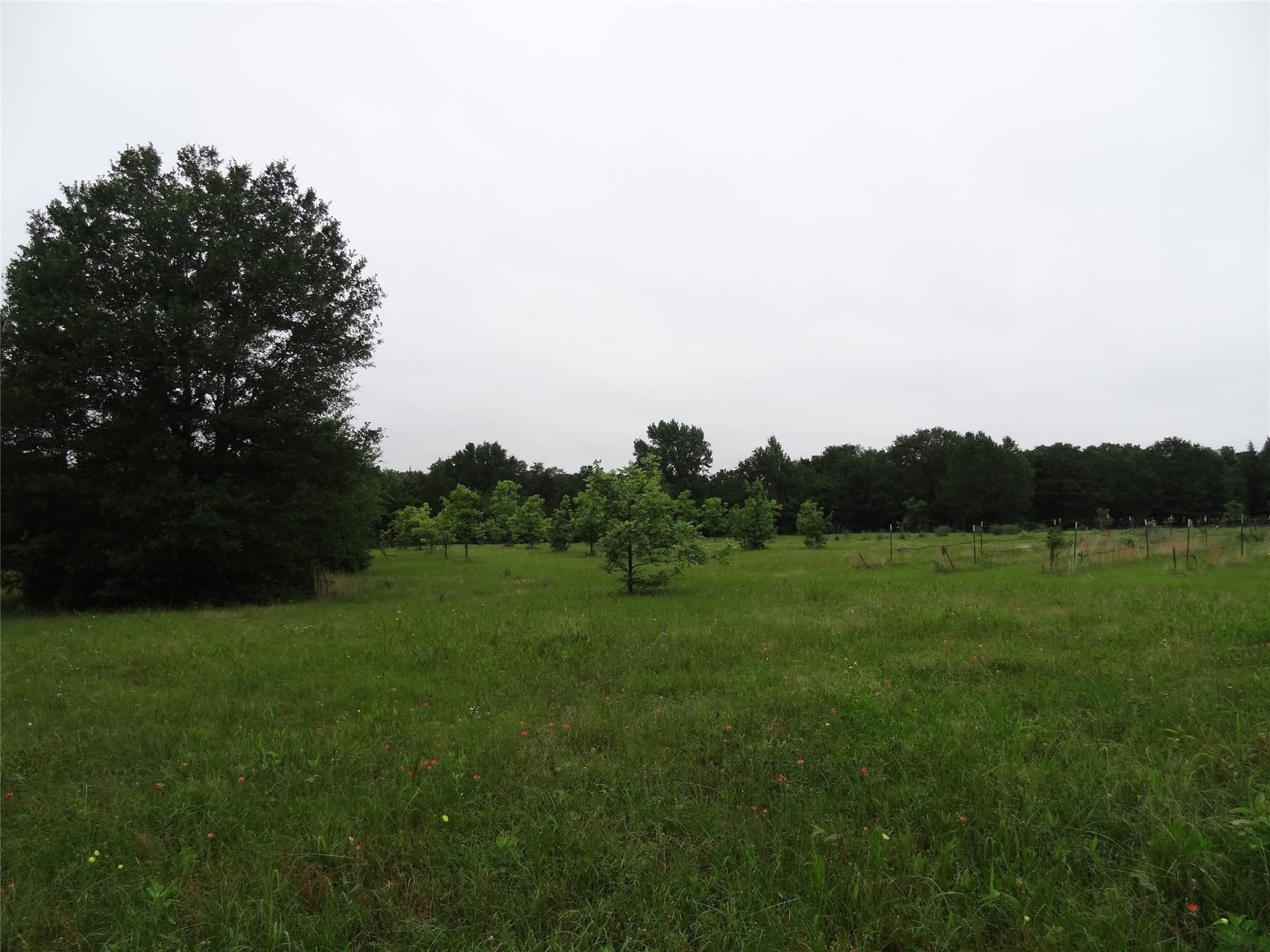 16.12 acres in Van Zandt County - photo 27