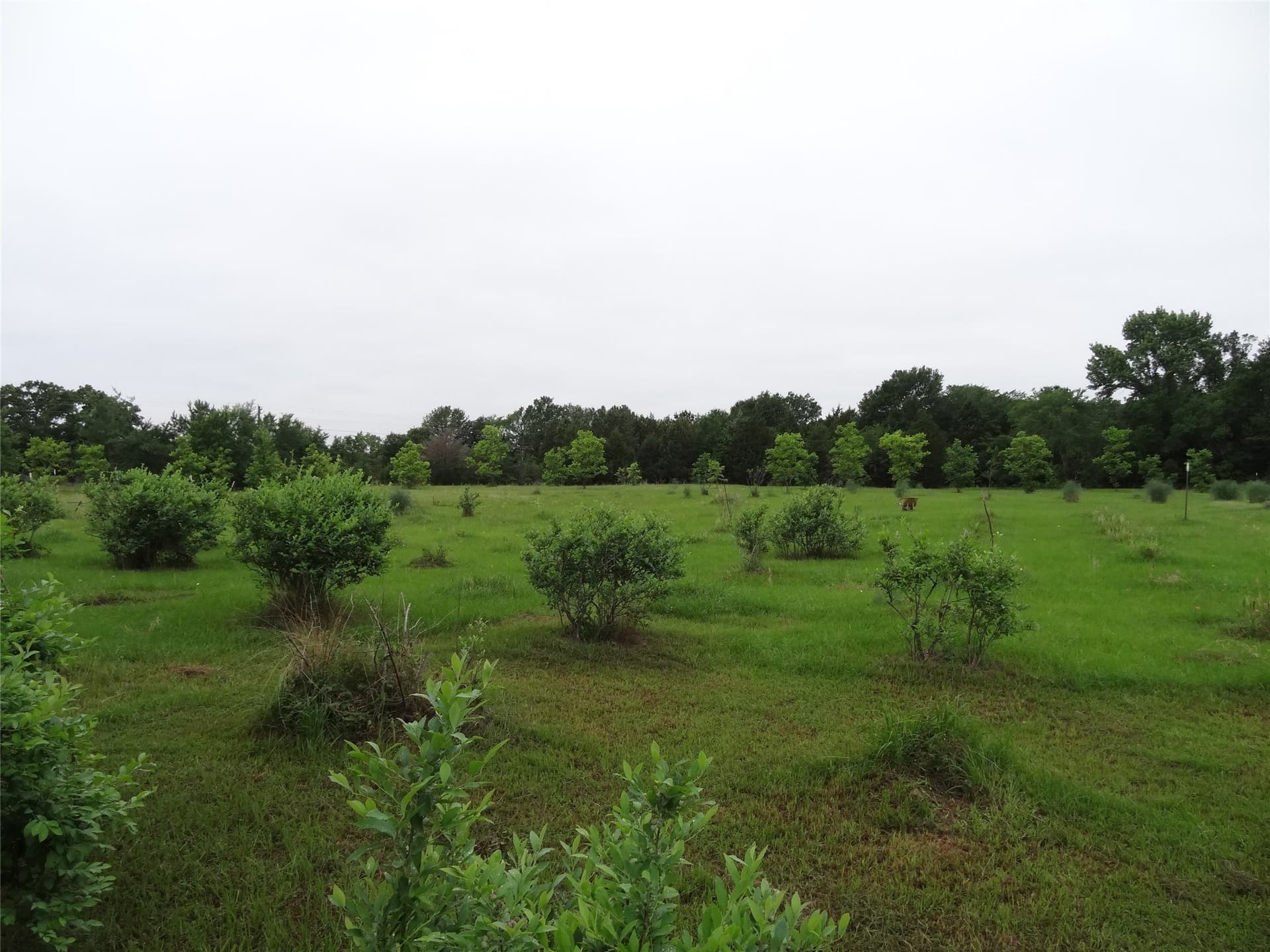 16.12 acres in Van Zandt County - photo 39