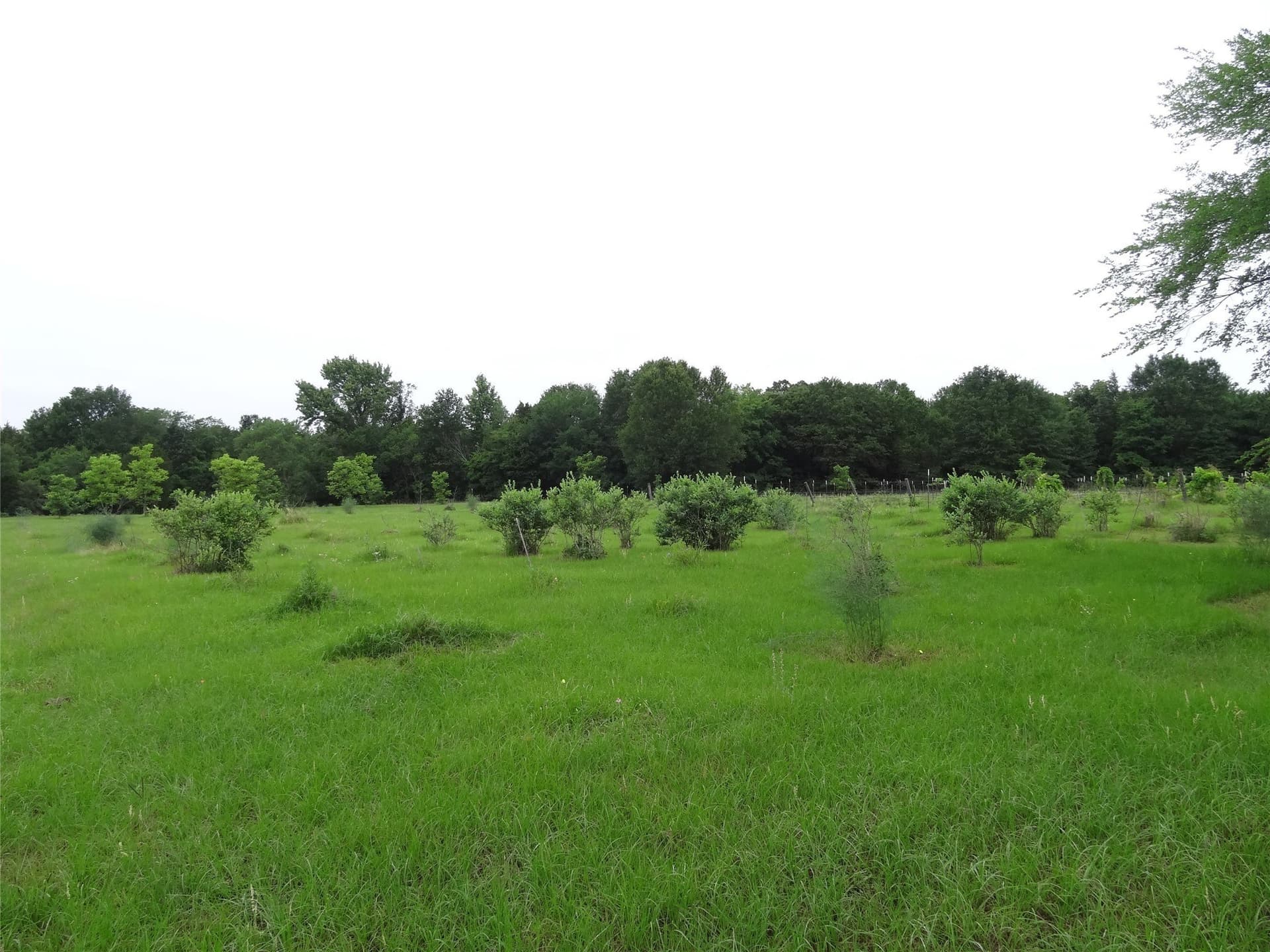 16.12 acres in Van Zandt County - photo 38