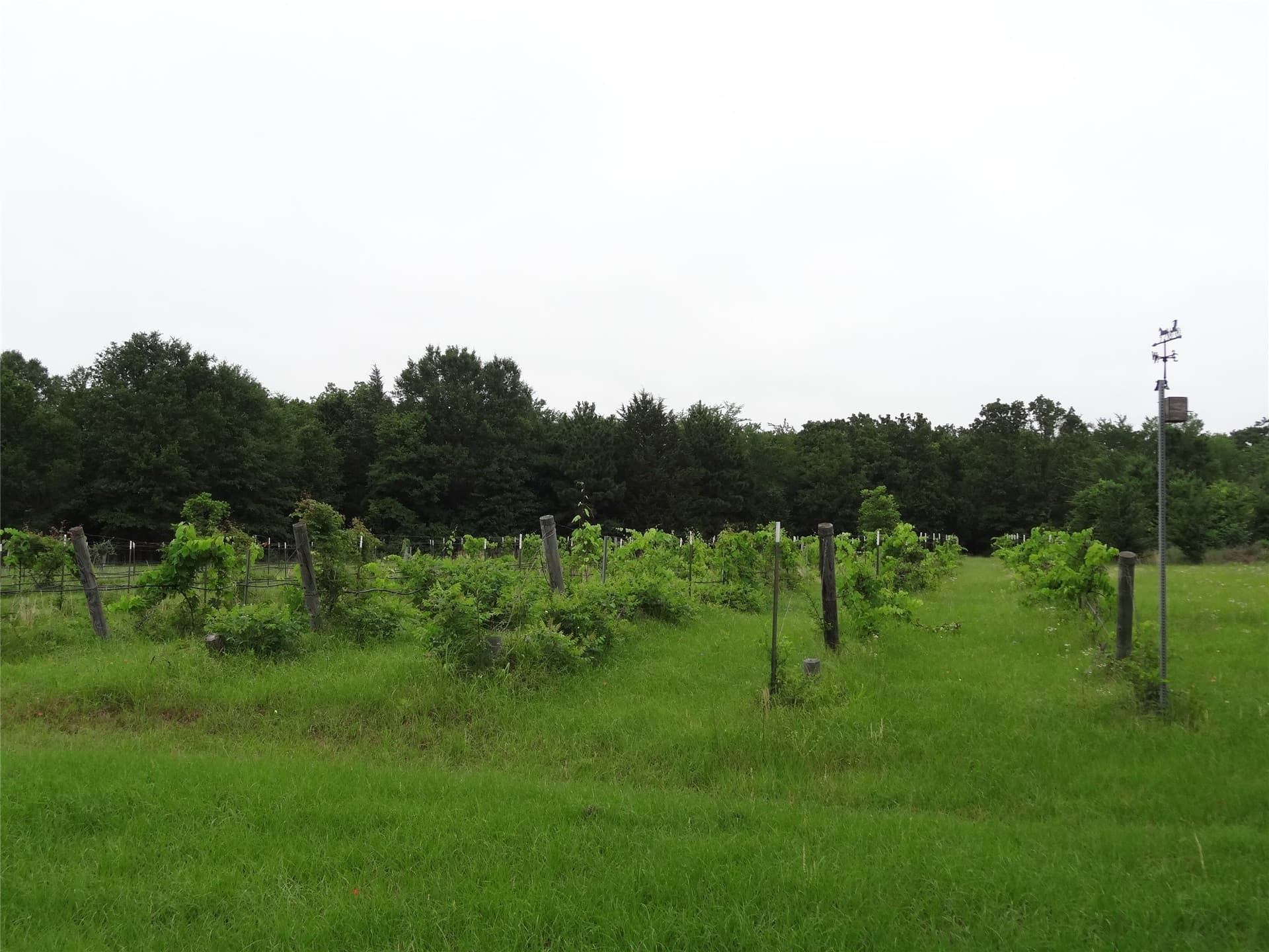 16.12 acres in Van Zandt County - photo 21