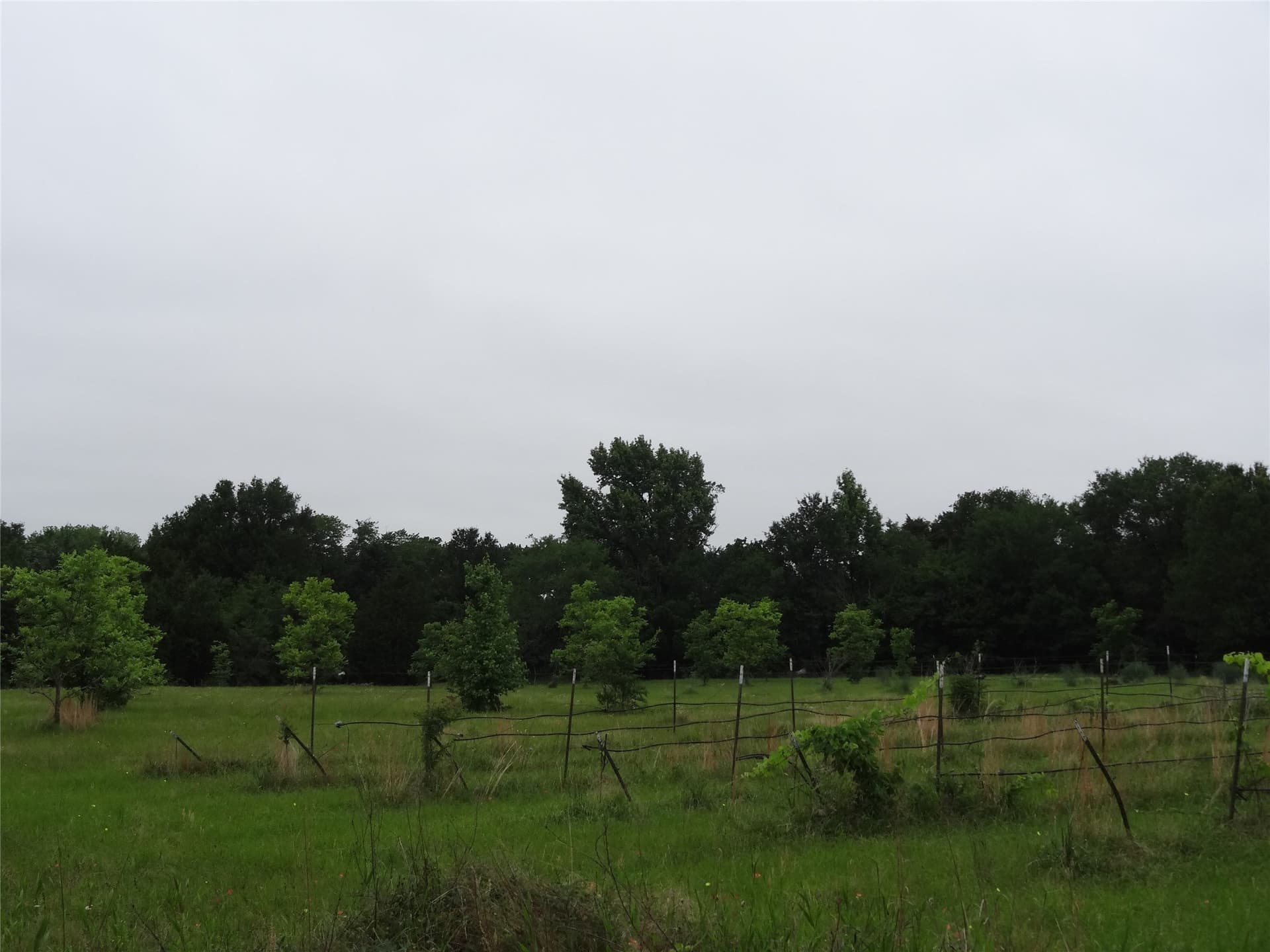 16.12 acres in Van Zandt County - photo 23