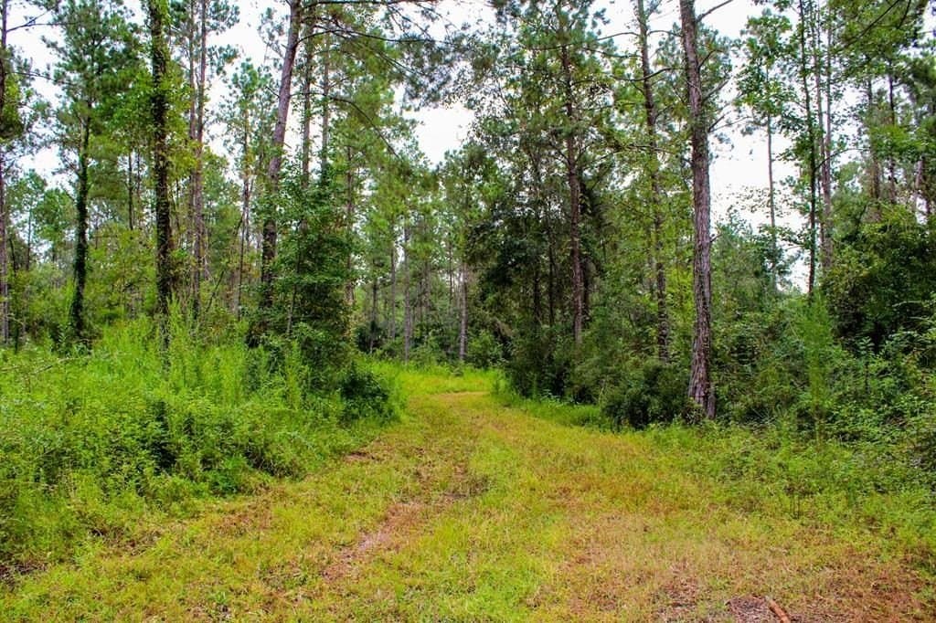 48.01 acres in Texas County gallery image 4