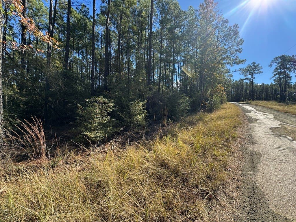1.03 acres in Texas County gallery image 2