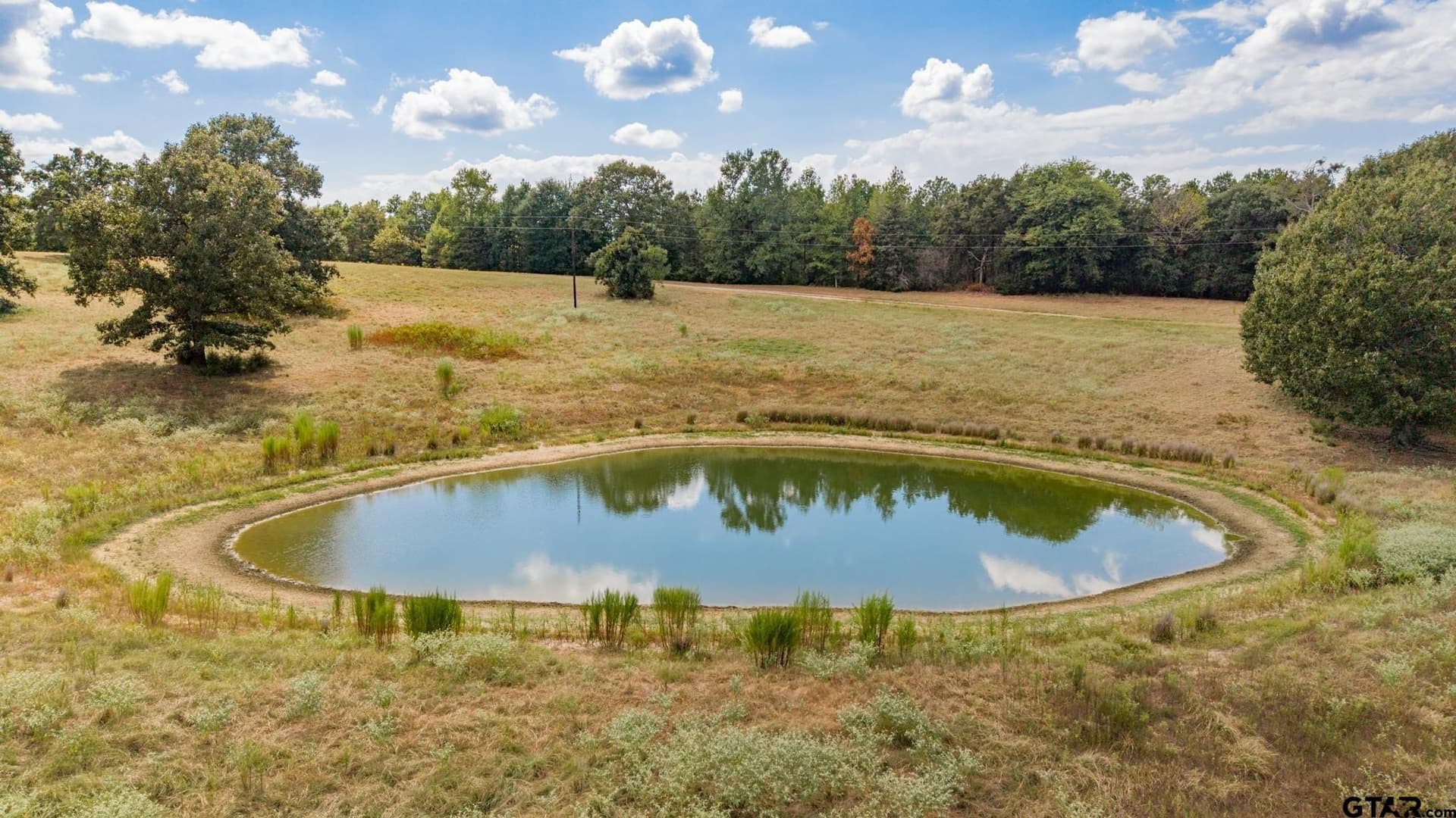 50 acres in Wood County - photo 31