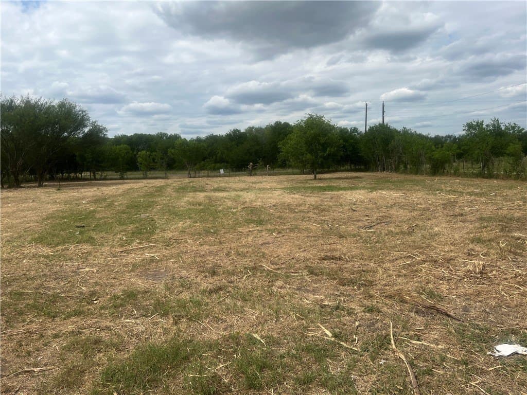 0.82 acres in Live Oak County - photo 4