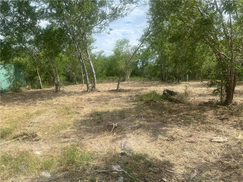 0.82 acres in Live Oak County - photo 5