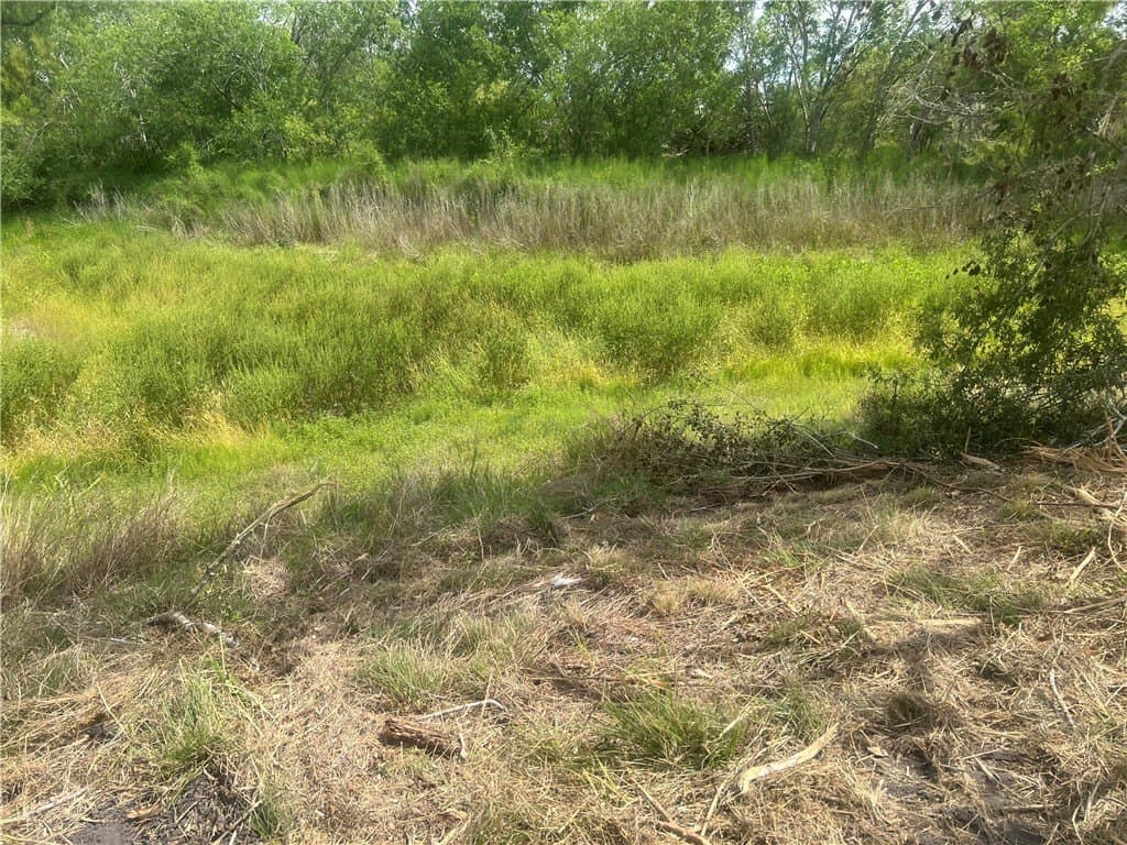 0.82 acres in Live Oak County - photo 7