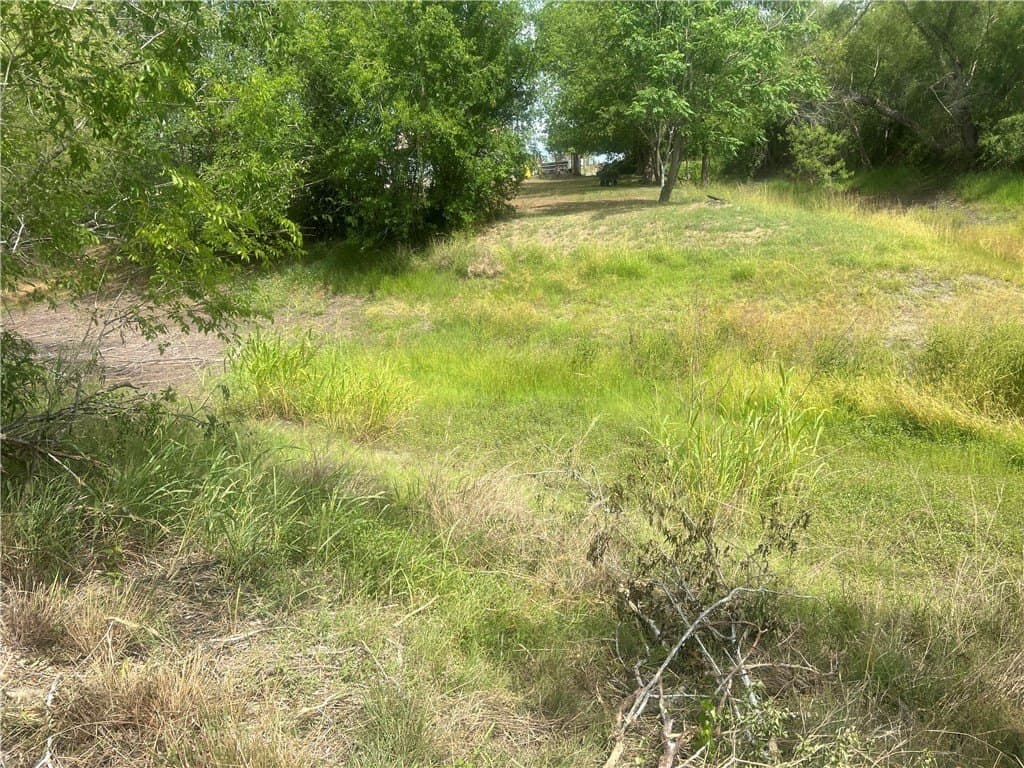 0.82 acres in Live Oak County - photo 8