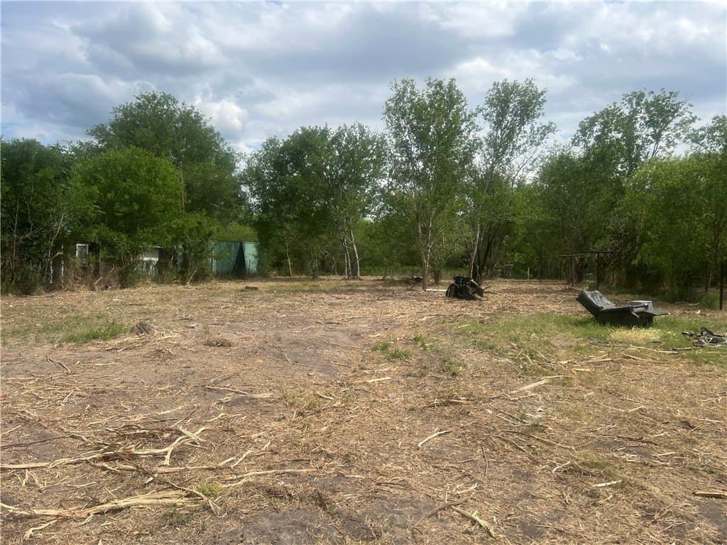 0.82 acres in Live Oak County - photo 3