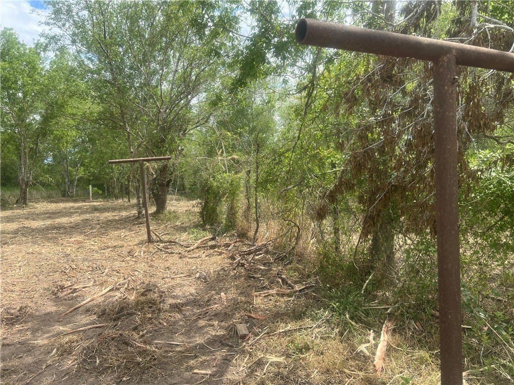 0.82 acres in Live Oak County - photo 10
