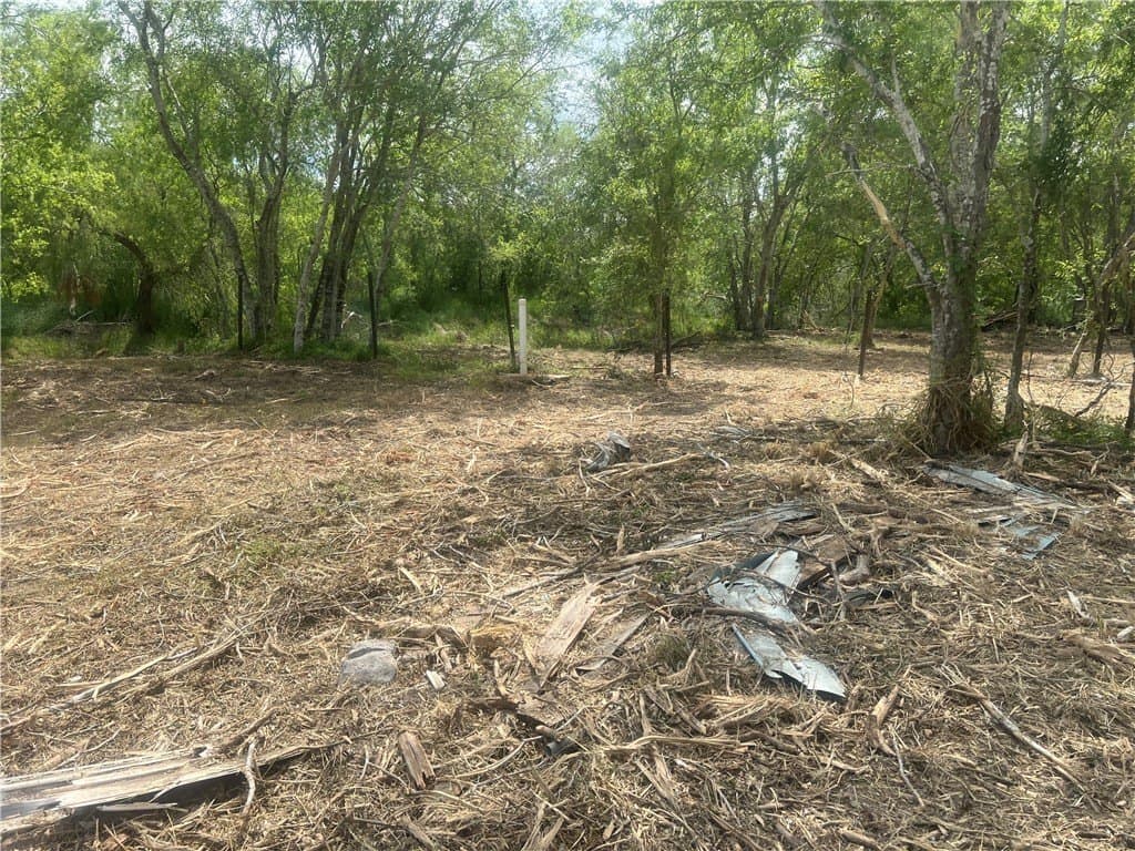 0.82 acres in Live Oak County - photo 6