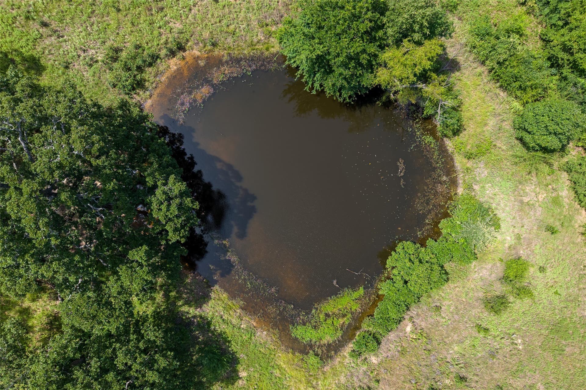 27.04 acres in Fannin County - photo 24