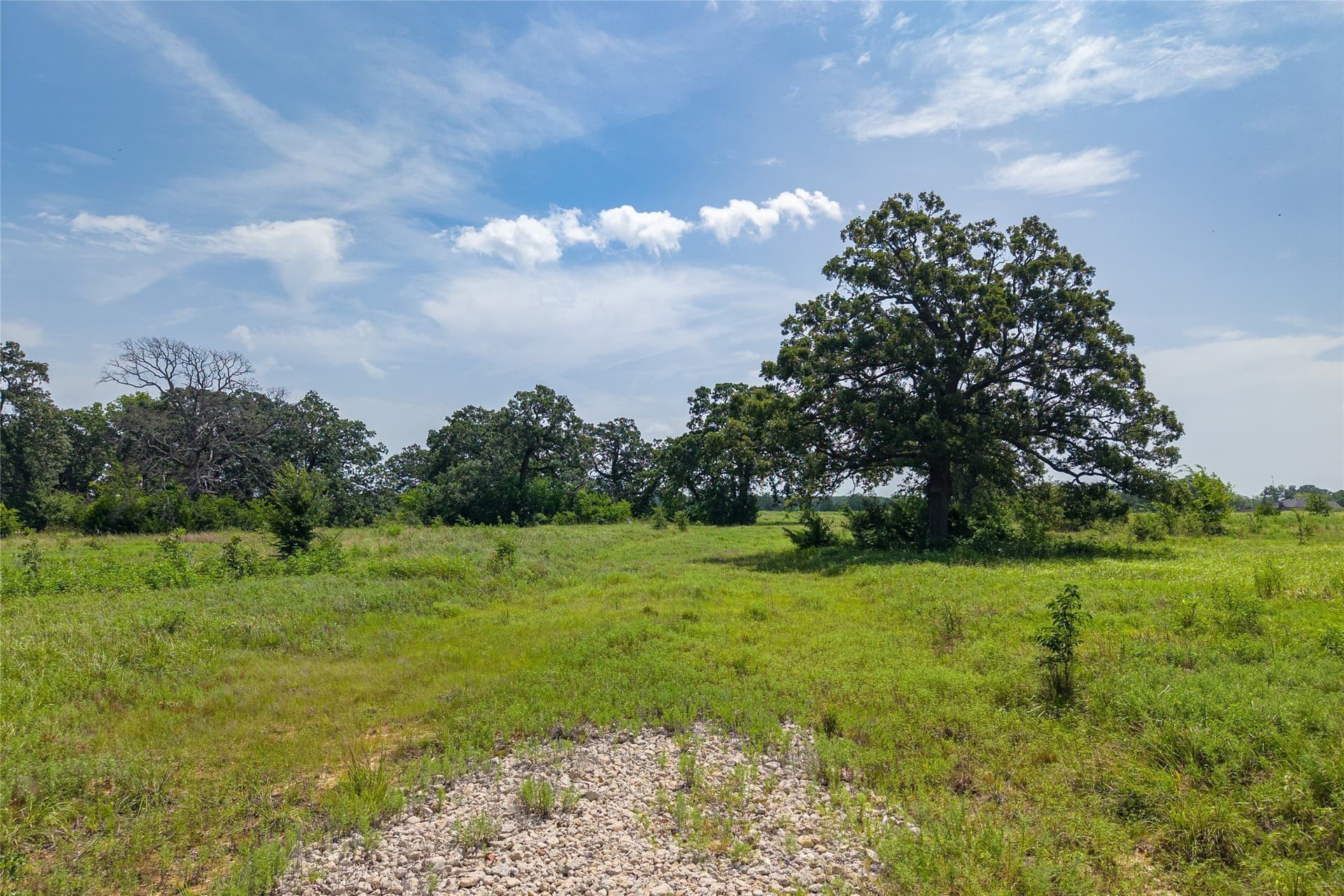 27.04 acres in Fannin County - photo 20