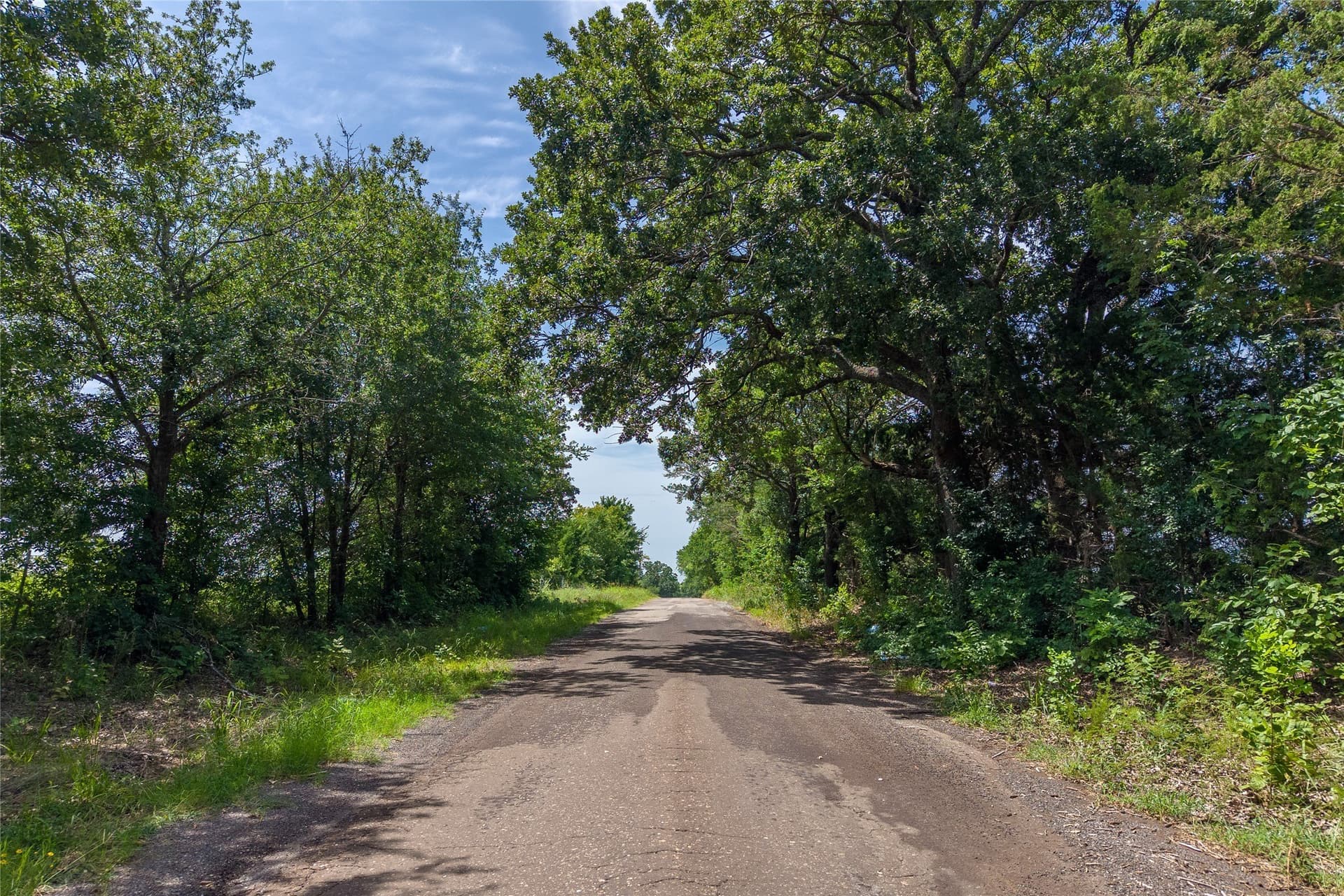 27.04 acres in Fannin County - photo 25