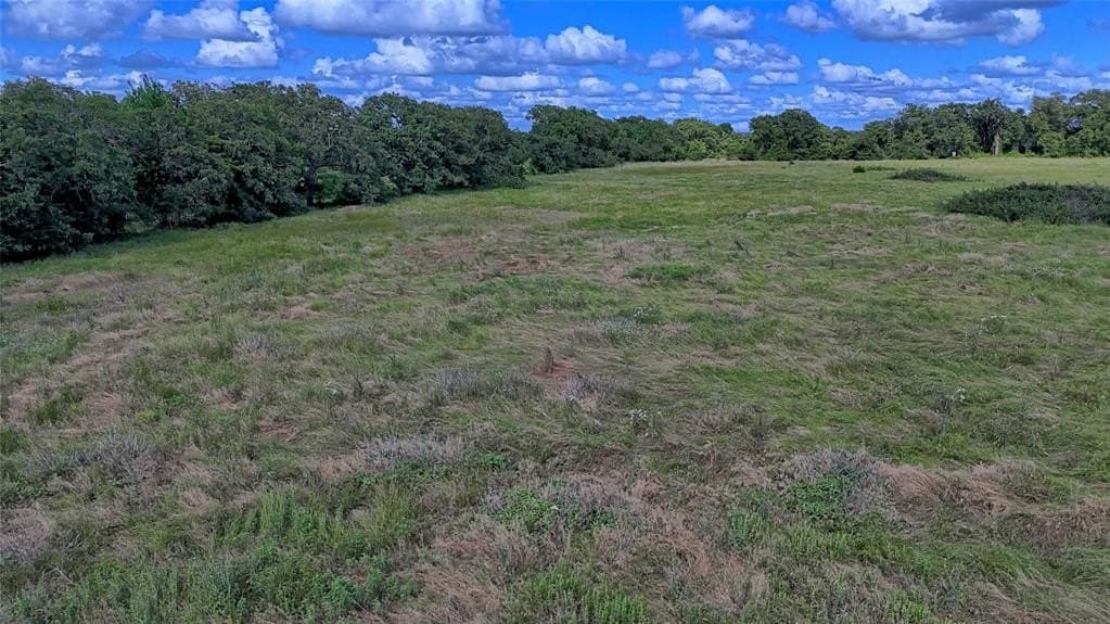 26.61 acres in Montague County gallery image 3