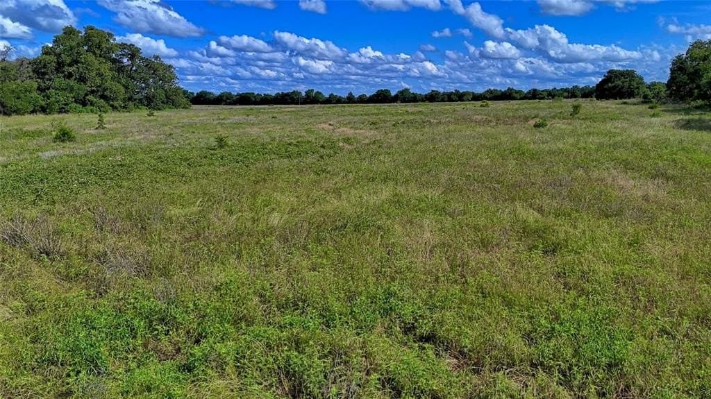 26.61 acres in Montague County featured view
