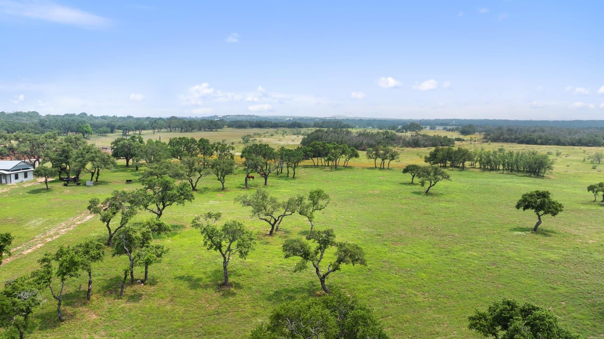 134 acres in Blanco County - photo 24