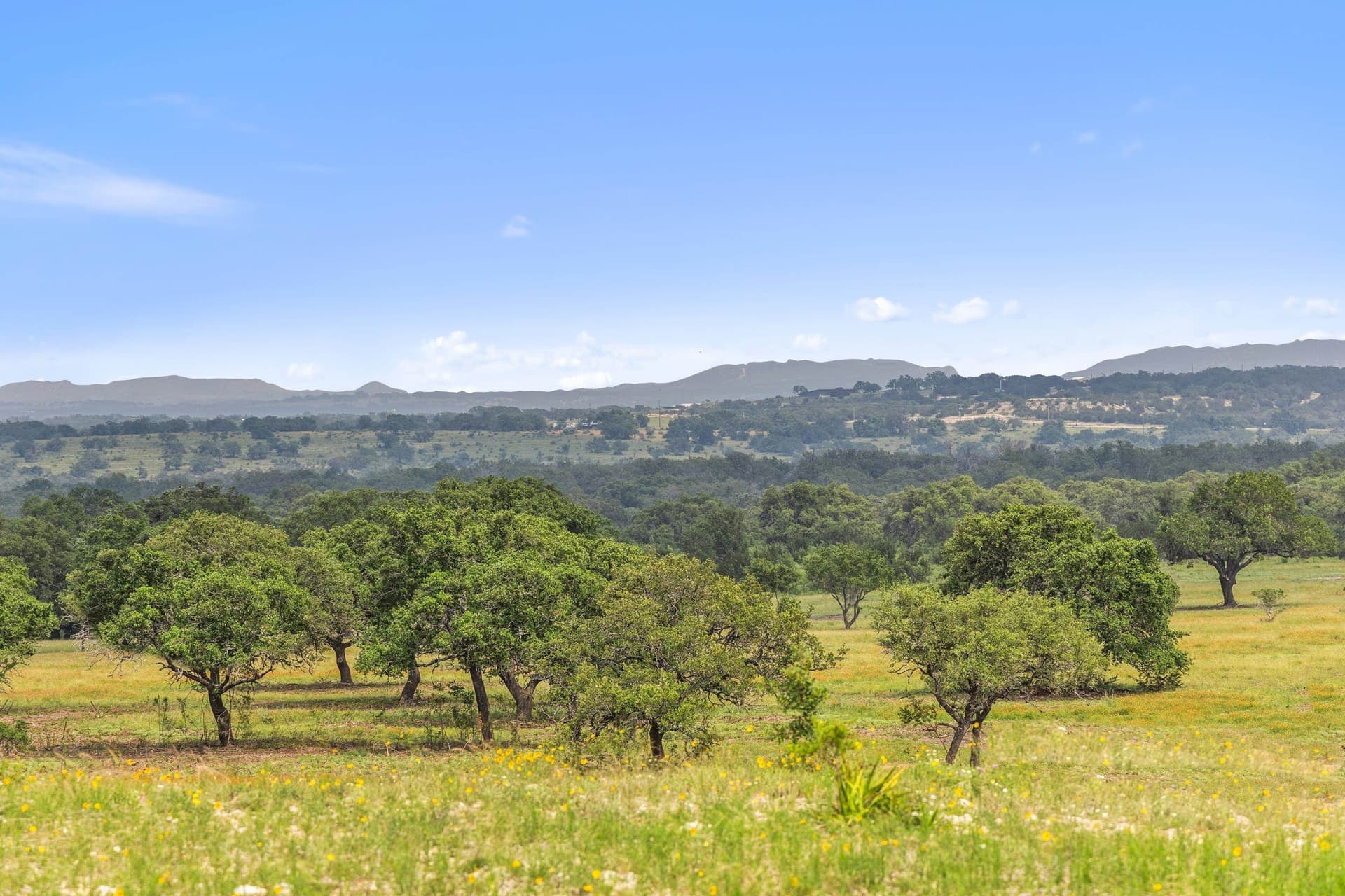 134 acres in Blanco County - photo 22