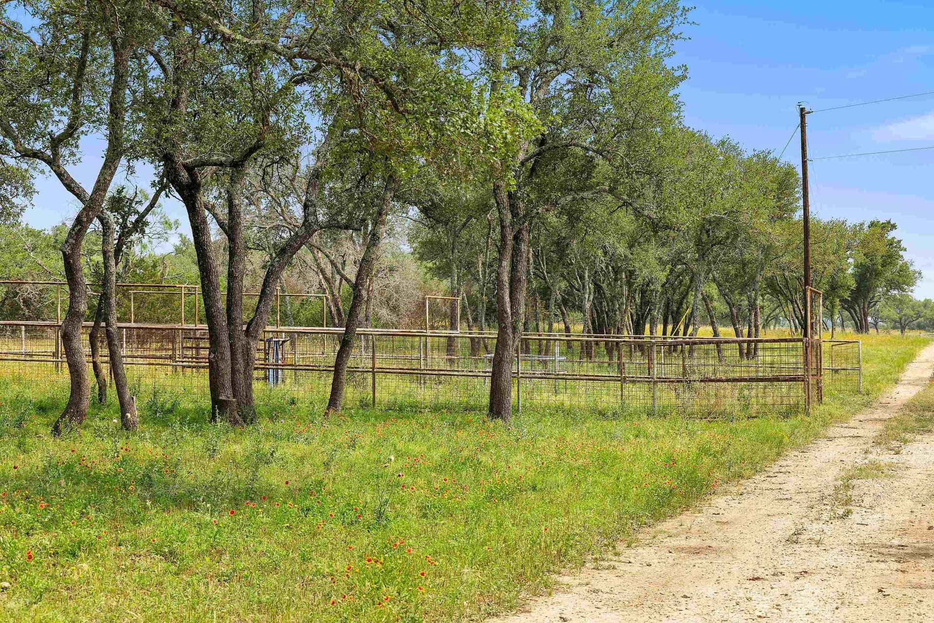 134 acres in Blanco County - photo 29