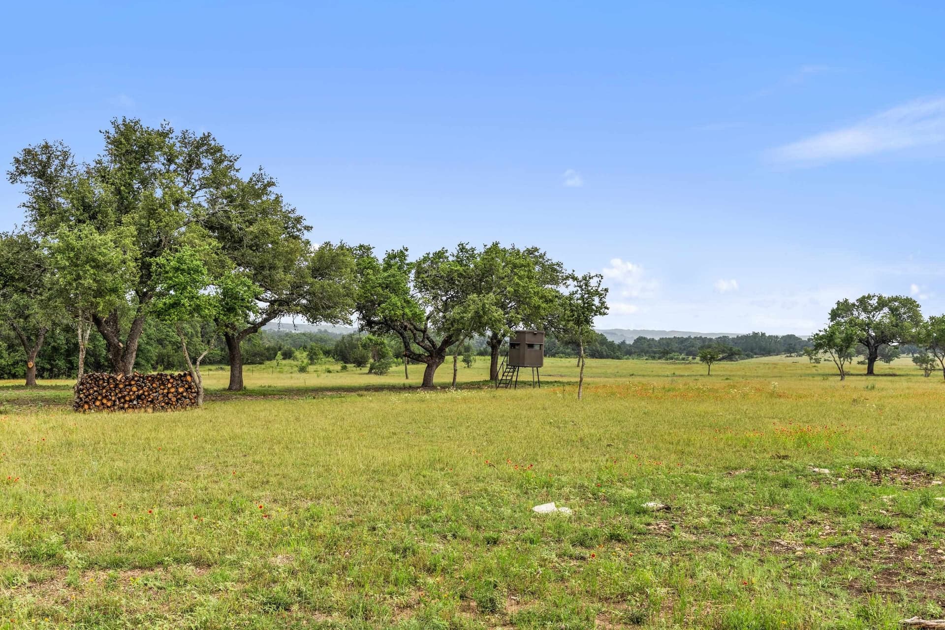 134 acres in Blanco County - photo 30