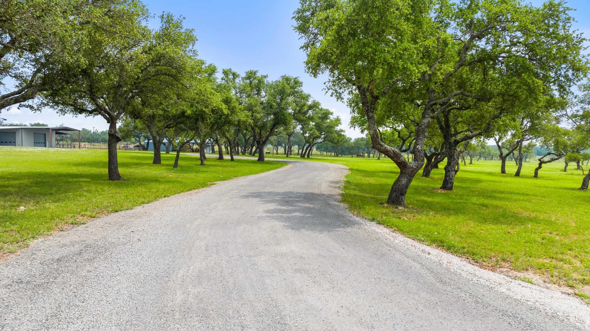 134 acres in Blanco County - photo 12