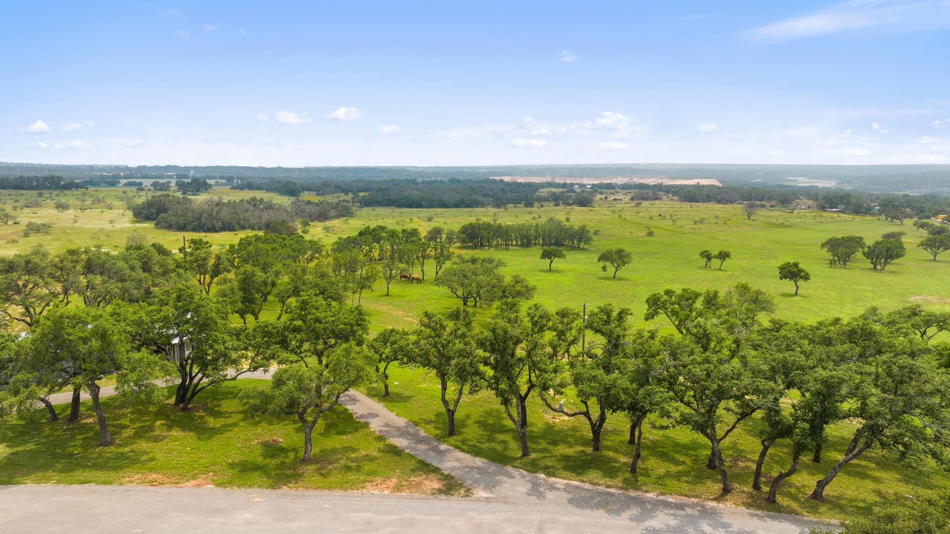 134 acres in Blanco County - photo 23