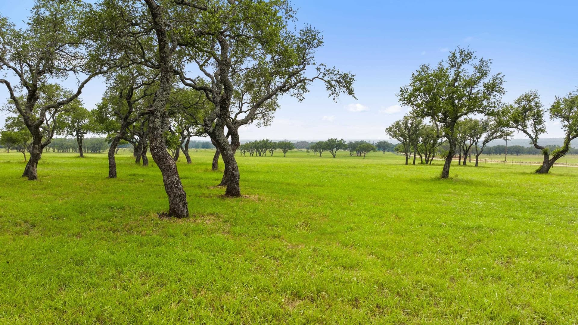134 acres in Blanco County - photo 14