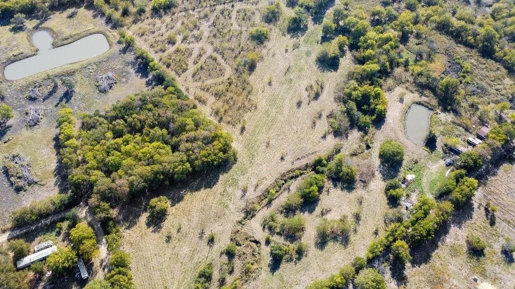 16.93 acres in Delta County gallery image 4