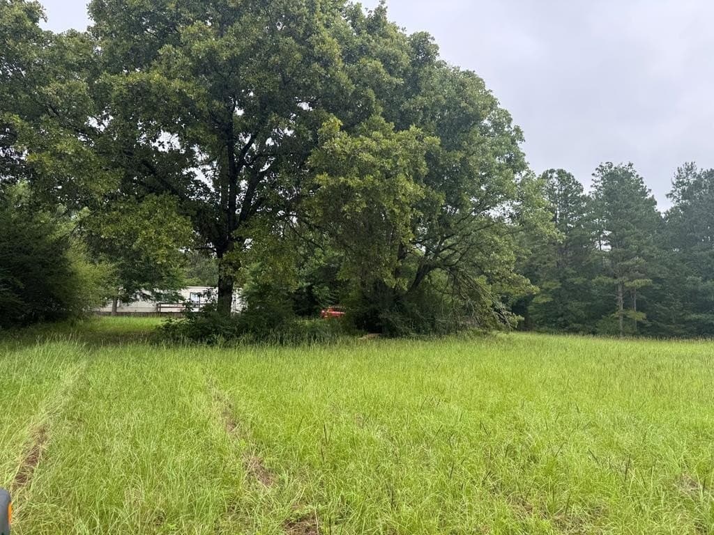 104.79 acres in CHEROKEE County - photo 20