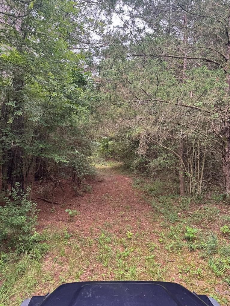 104.79 acres in CHEROKEE County gallery image 3