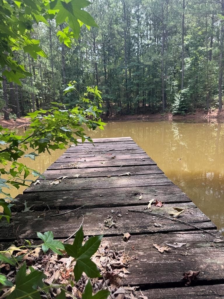 104.79 acres in CHEROKEE County - photo 12