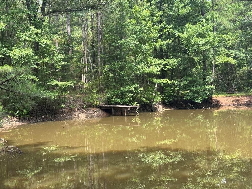 104.79 acres in CHEROKEE County - photo 9
