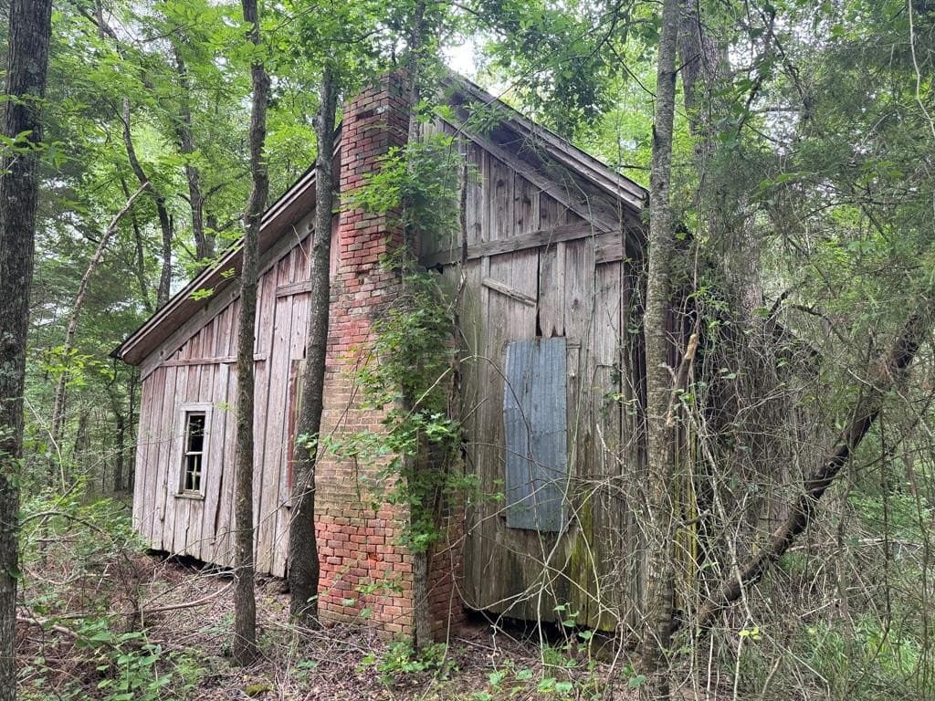 104.79 acres in CHEROKEE County - photo 16