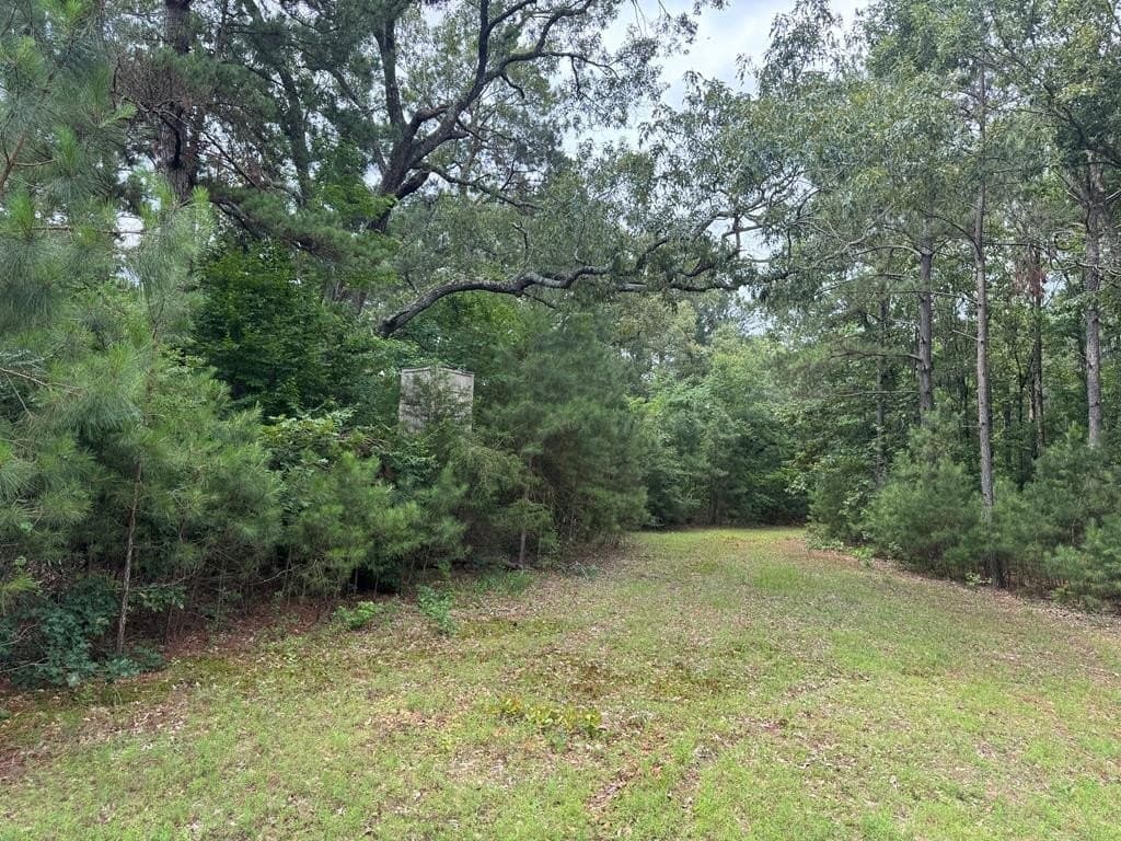 104.79 acres in CHEROKEE County - photo 13