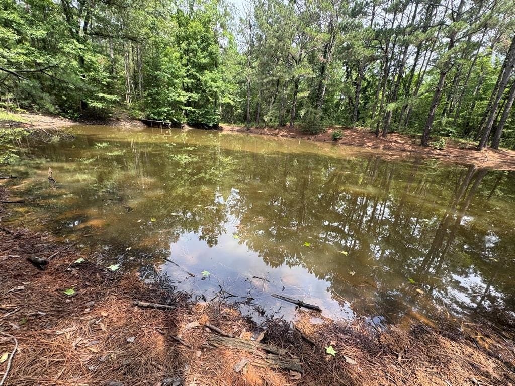 104.79 acres in CHEROKEE County - photo 8