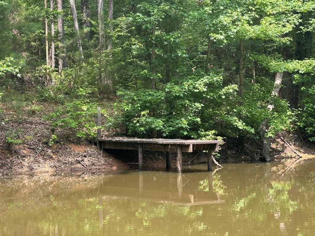 104.79 acres in CHEROKEE County - photo 11