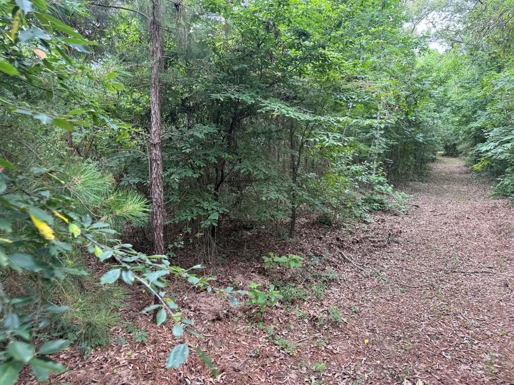 104.79 acres in CHEROKEE County - photo 14